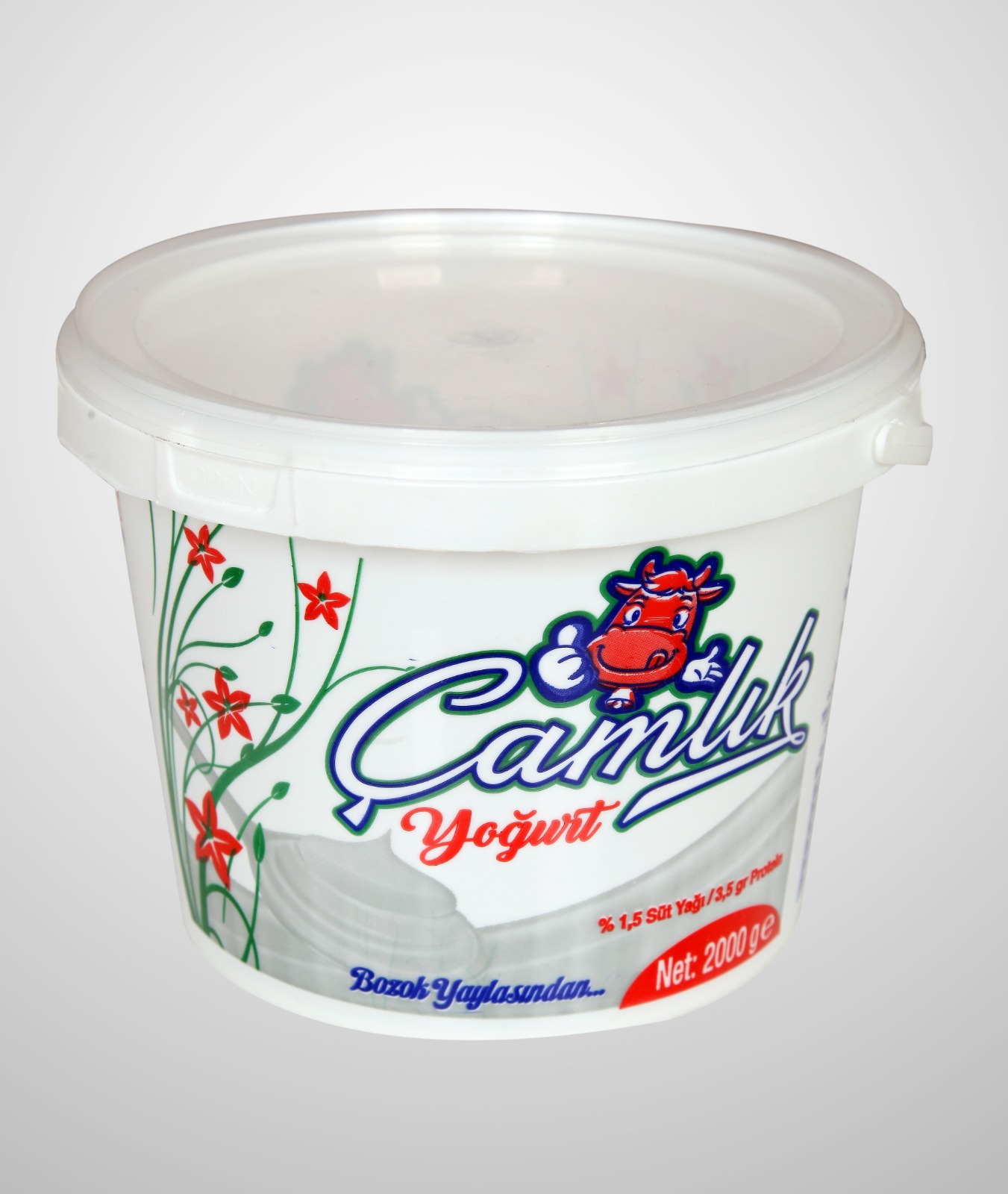 çamlık yoğurt 2kg