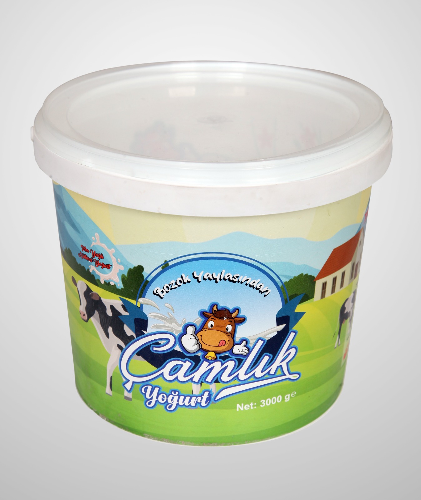 çamlık yoğurt 3kg Yozgat Sorgun